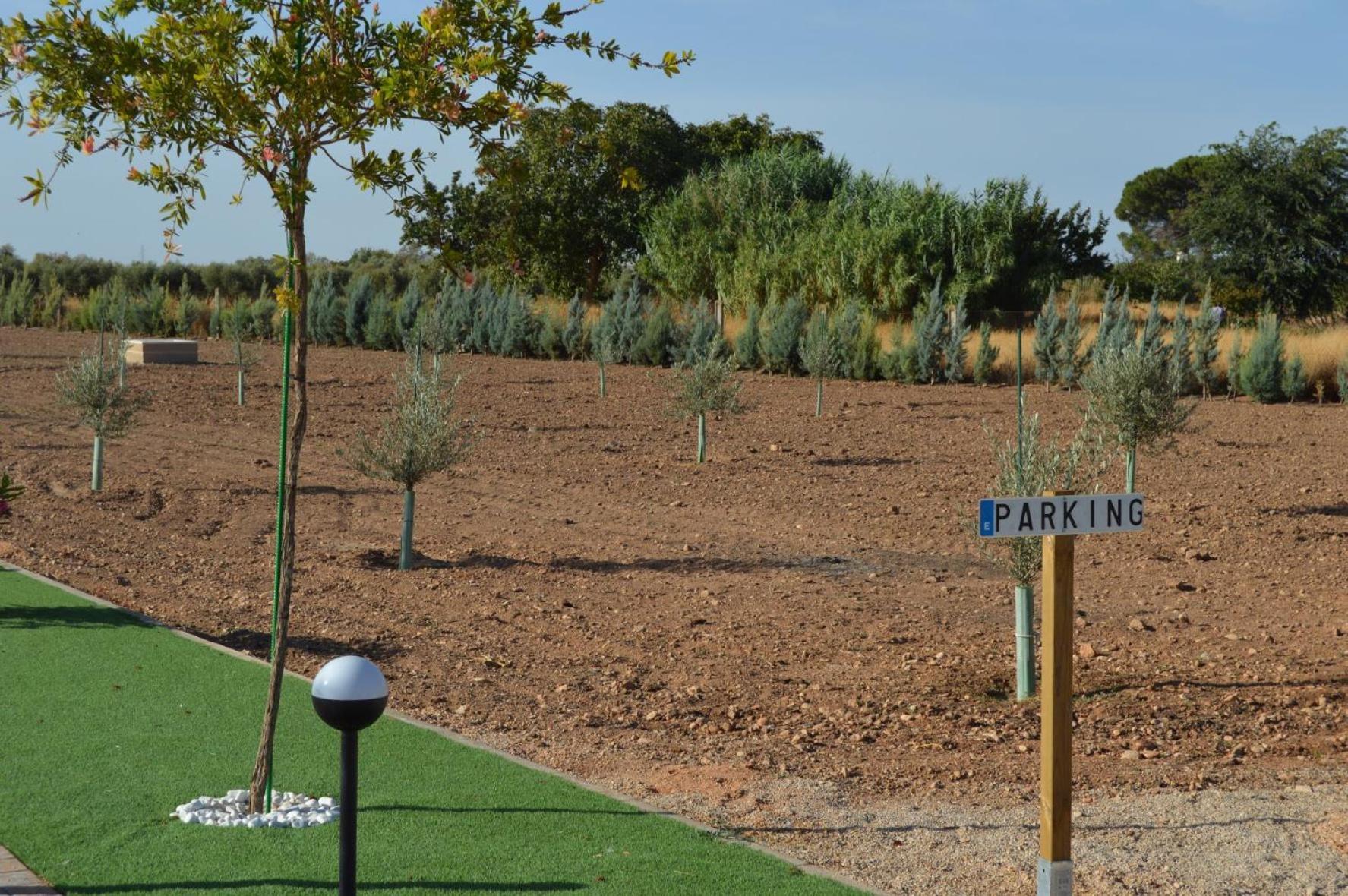 Bella * San Clemente (Castilla-La Mancha)