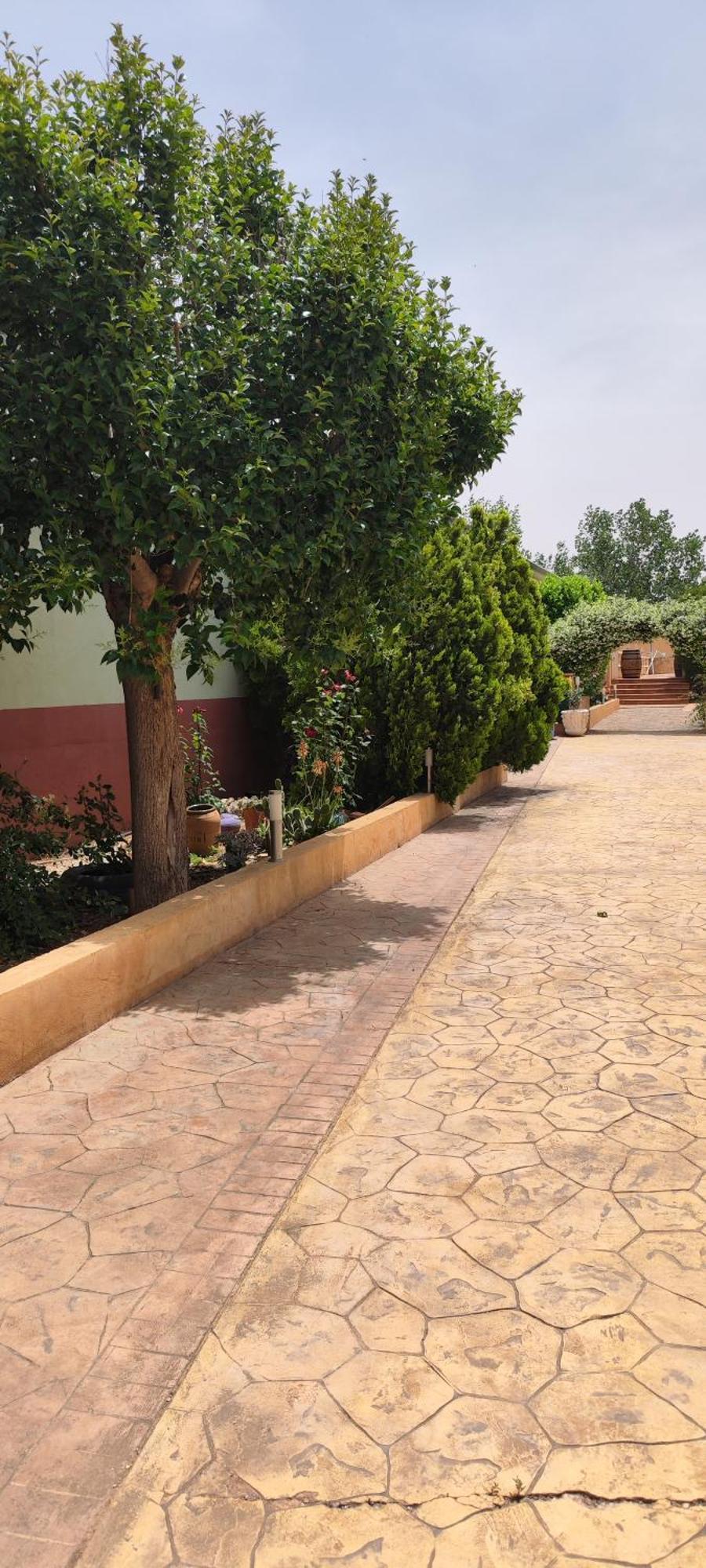 El Tejar Ferienhaus San Clemente (Castilla-La Mancha)
