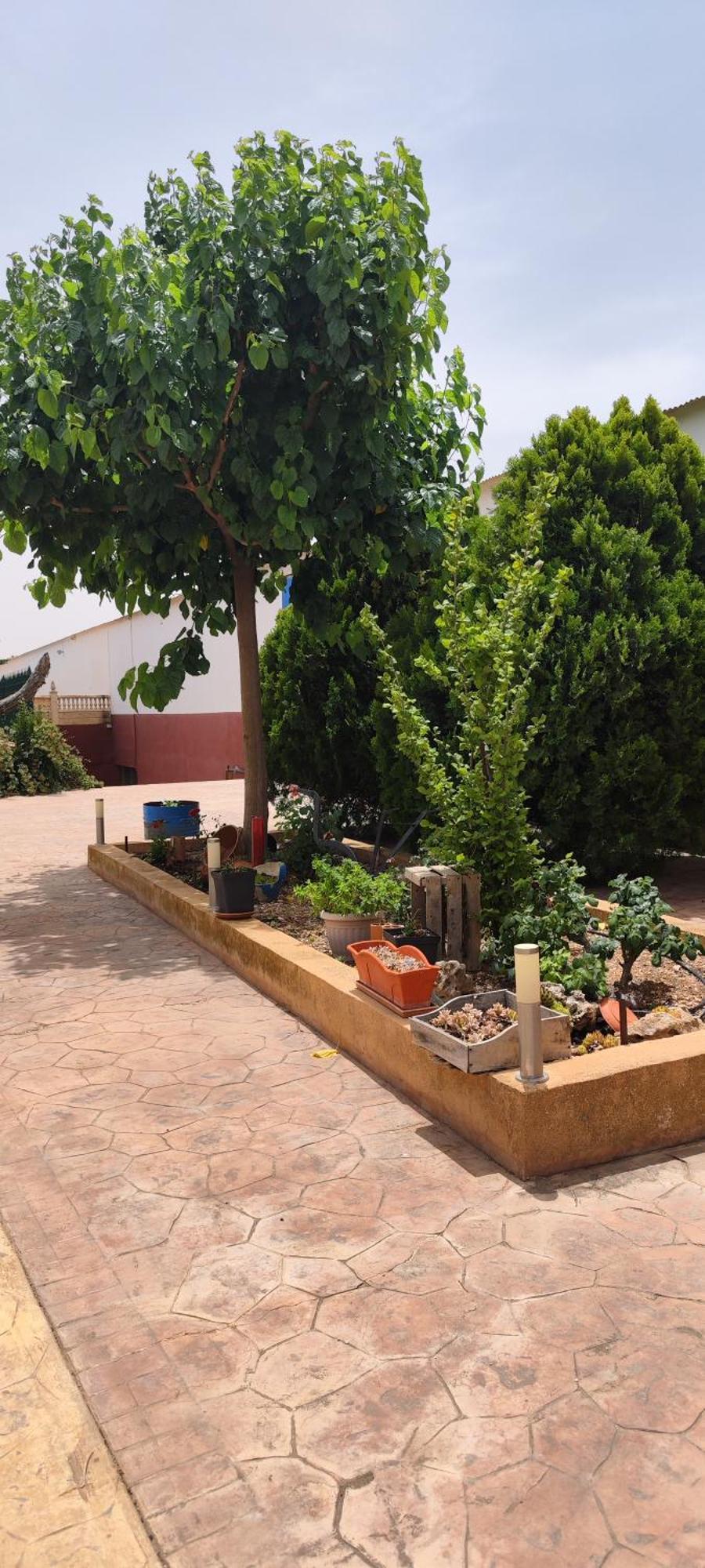 El Tejar *